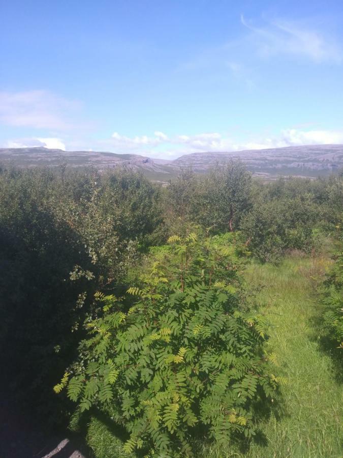 Hagi 2 Road 62 Nr 1 Βίλα Εξωτερικό φωτογραφία
